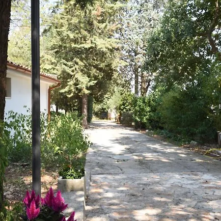 Parco Del Lamione Bed & Breakfast