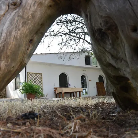 Parco Del Lamione *